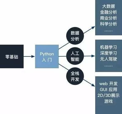 當(dāng)你只有一門語(yǔ)言 Python驅(qū)動(dòng)人工智能基礎(chǔ)軟件開發(fā)的深度路徑